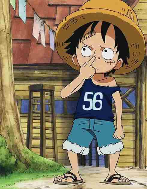 Hình Luffy 14
