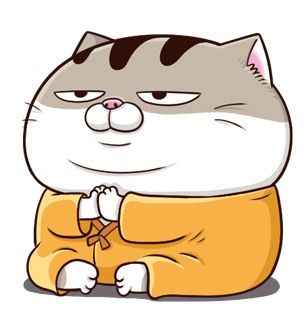 Ảnh Mèo Bựa Cute 9