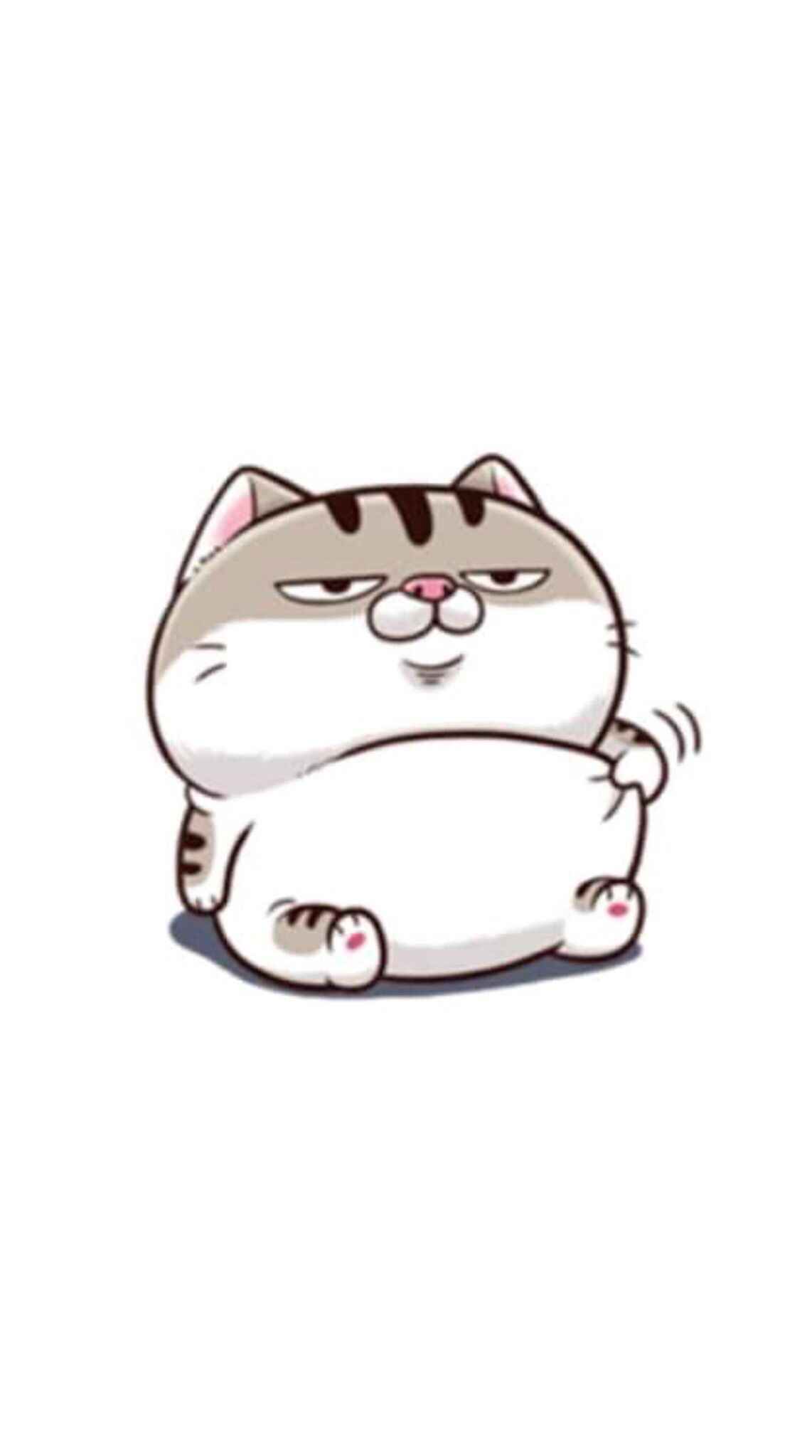 Ảnh Mèo Bựa Cute 12