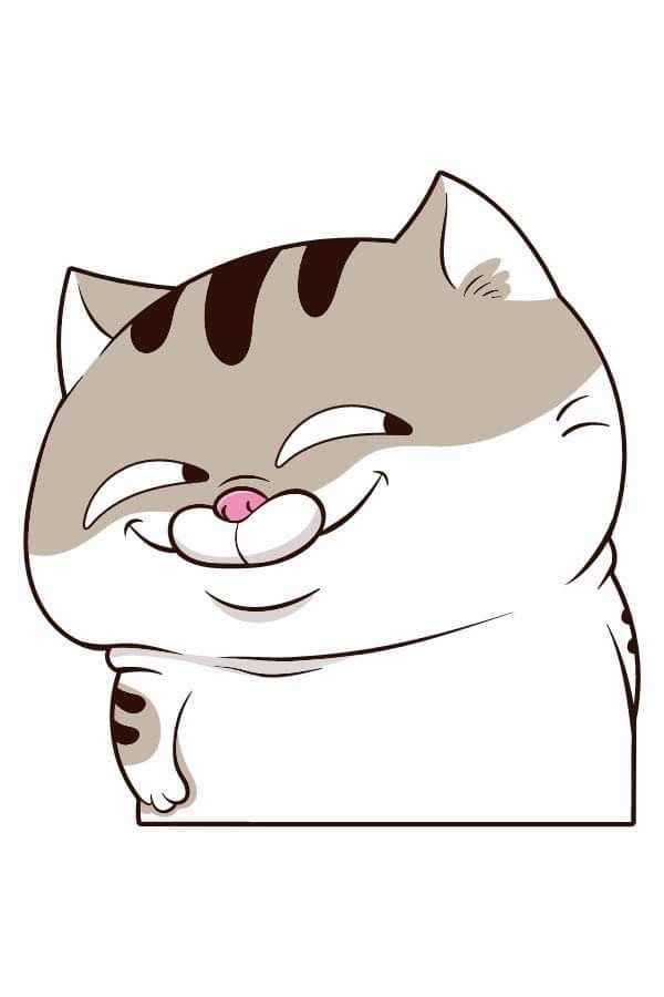 Ảnh Mèo Bựa Cute 7