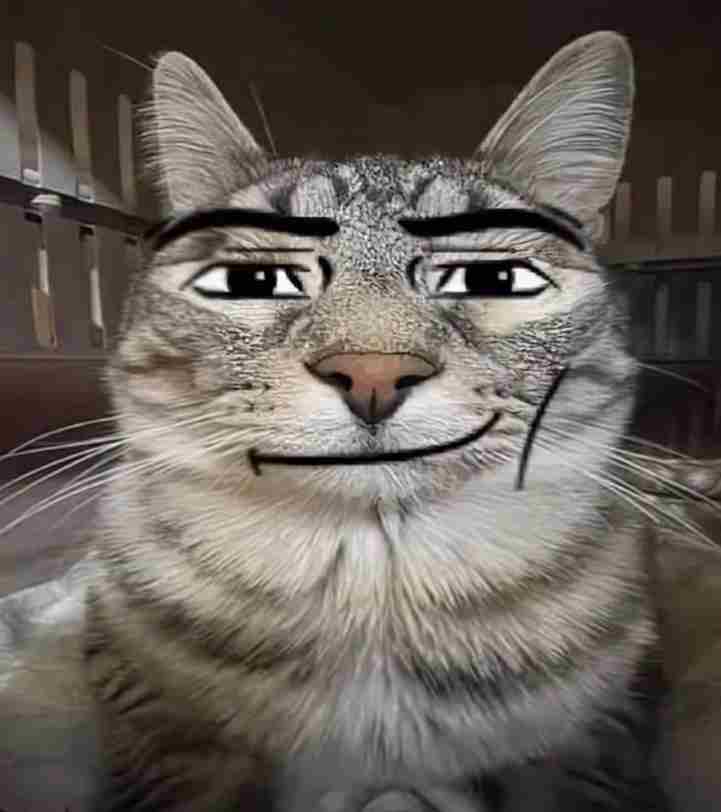 Ảnh Mèo Meme 12