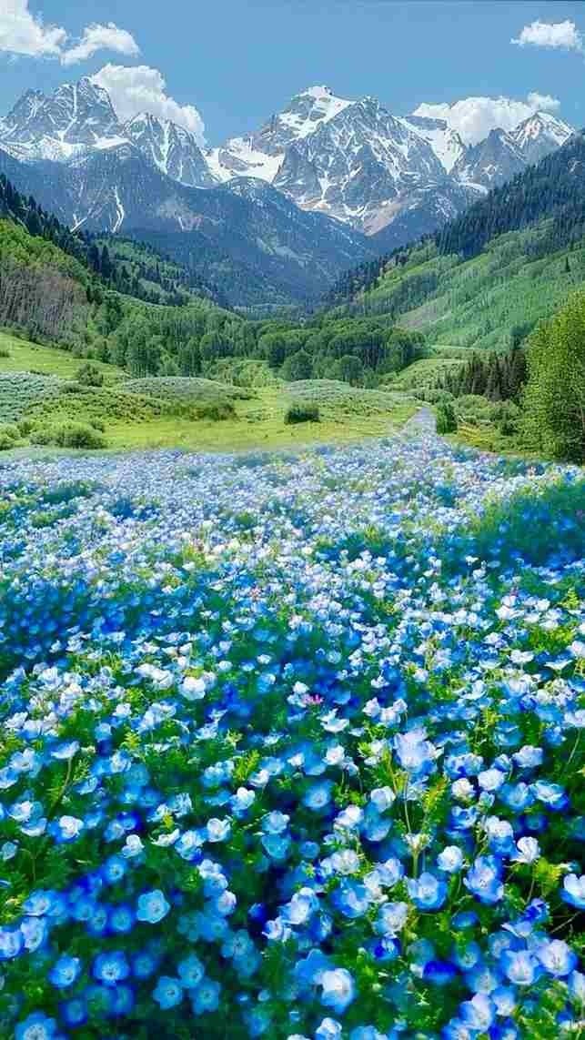 Ảnh phong cảnh chill 14