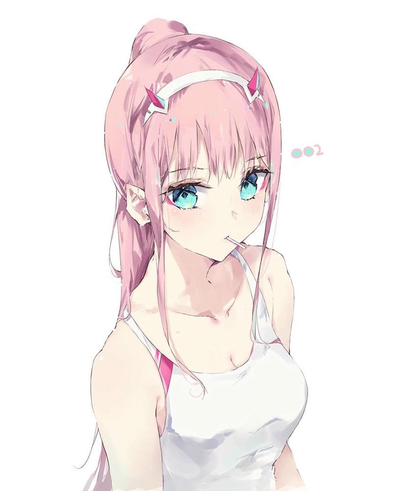 ảnh Zero Two 26