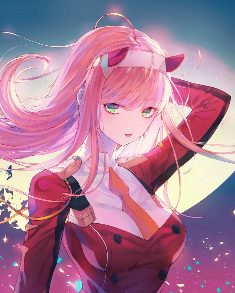 ảnh Zero Two 19