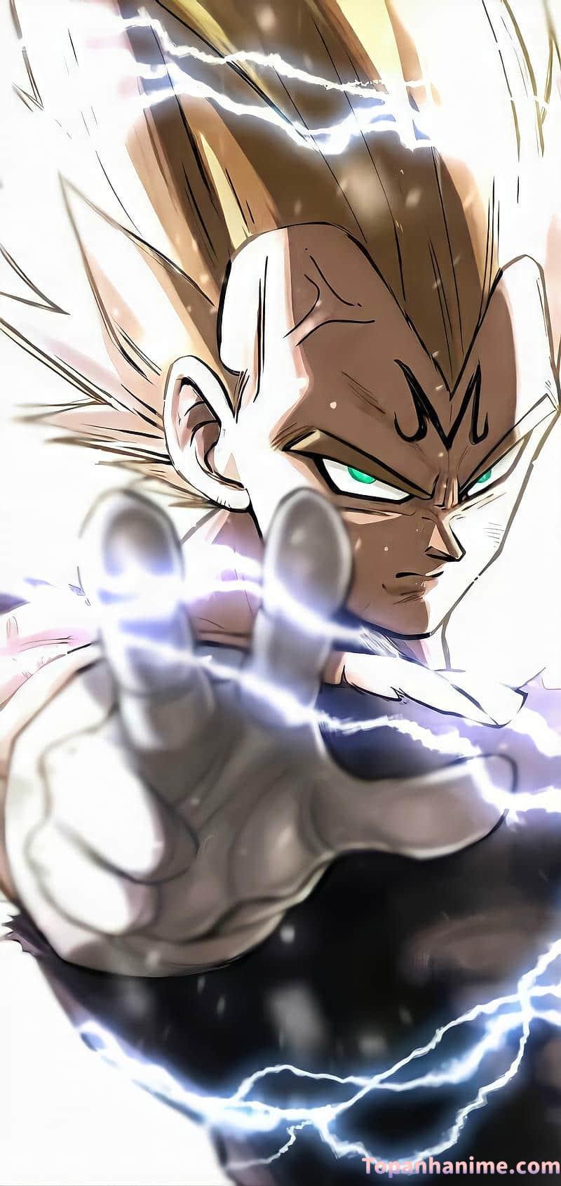 Mẫu Ảnh Vegeta 7