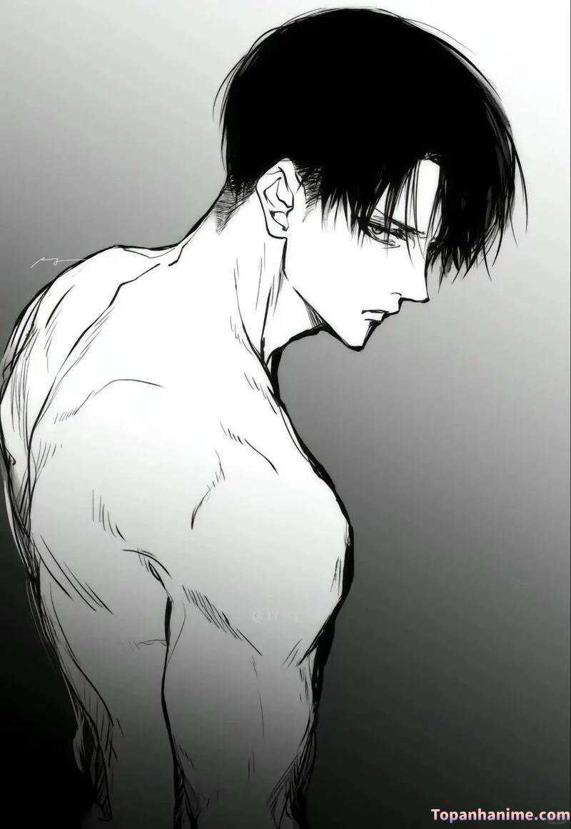 Mẫu ảnh Levi Ackerman 8