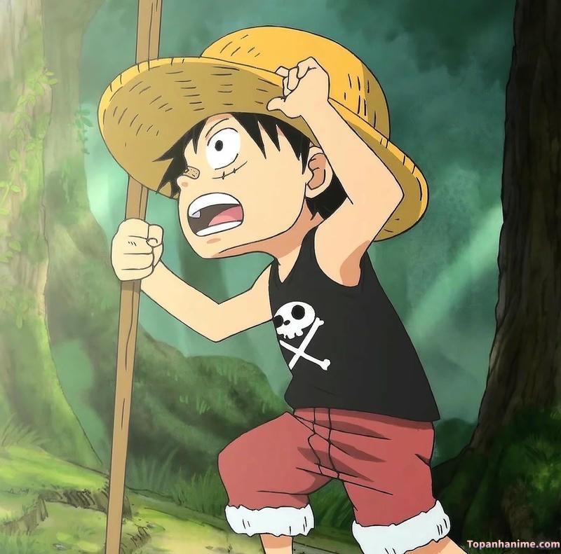 Mẫu ảnh Luffy 6