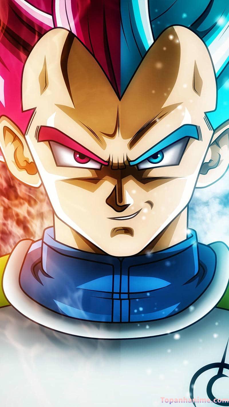 Mẫu Ảnh Vegeta 6