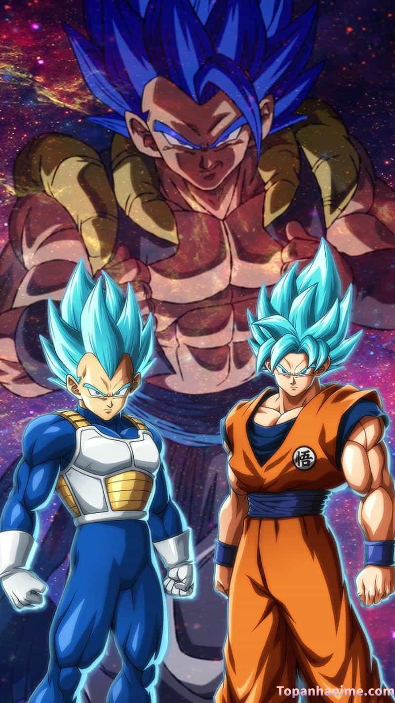 Mẫu Ảnh Vegeta 9