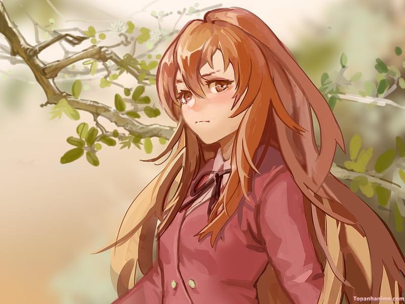 ảnh Taiga Aisaka 26