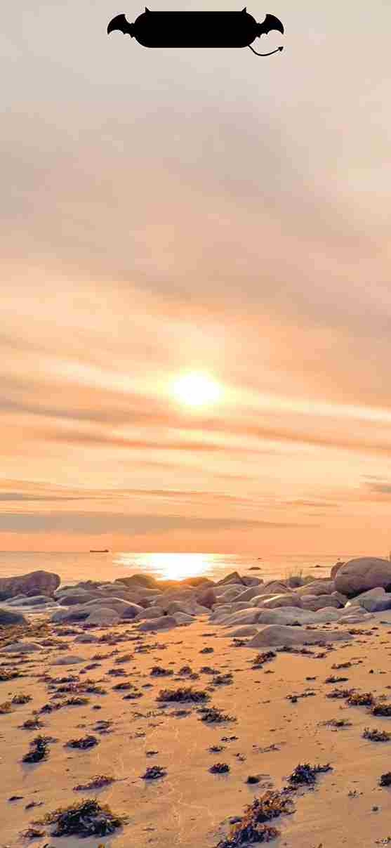 Hình Nền Điện Thoại 4K Sắc Nét 11