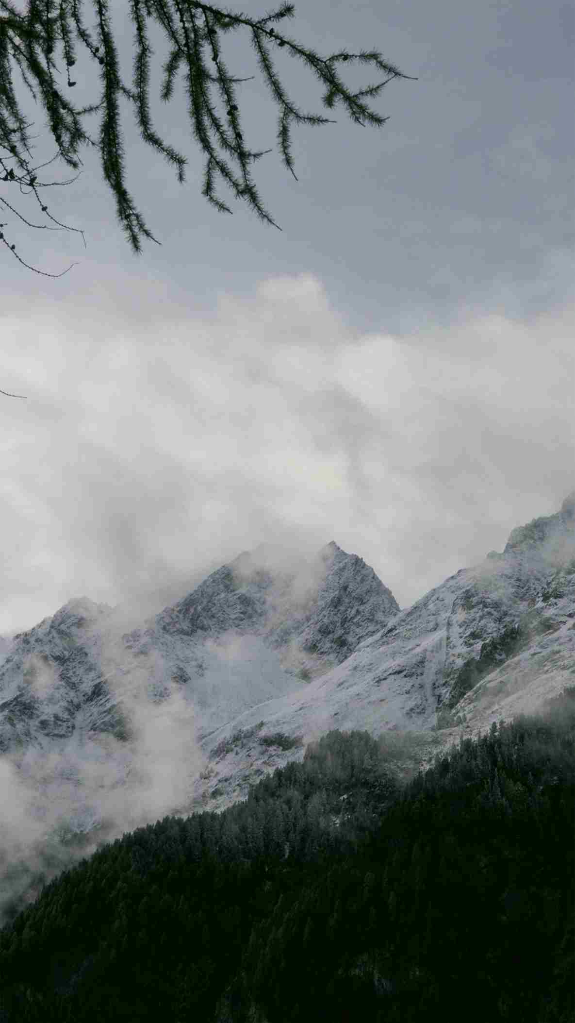 Hình Nền Điện Thoại 4K Sắc Nét 2