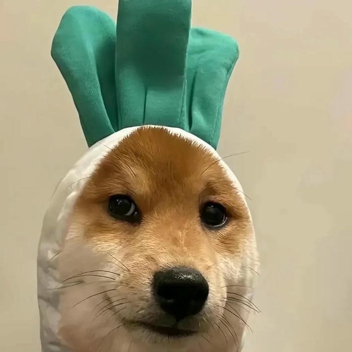 avatar TikTok đẹp 34