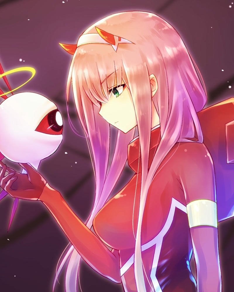 ảnh Zero Two 10