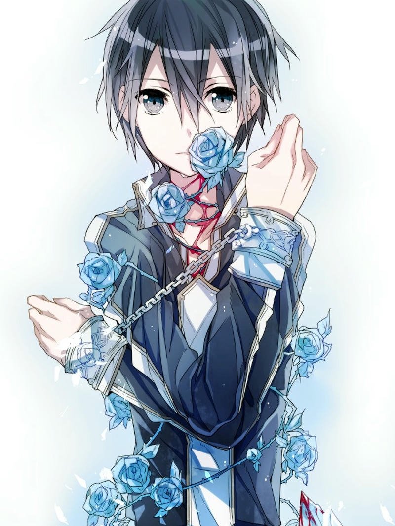 anime Kirito 27