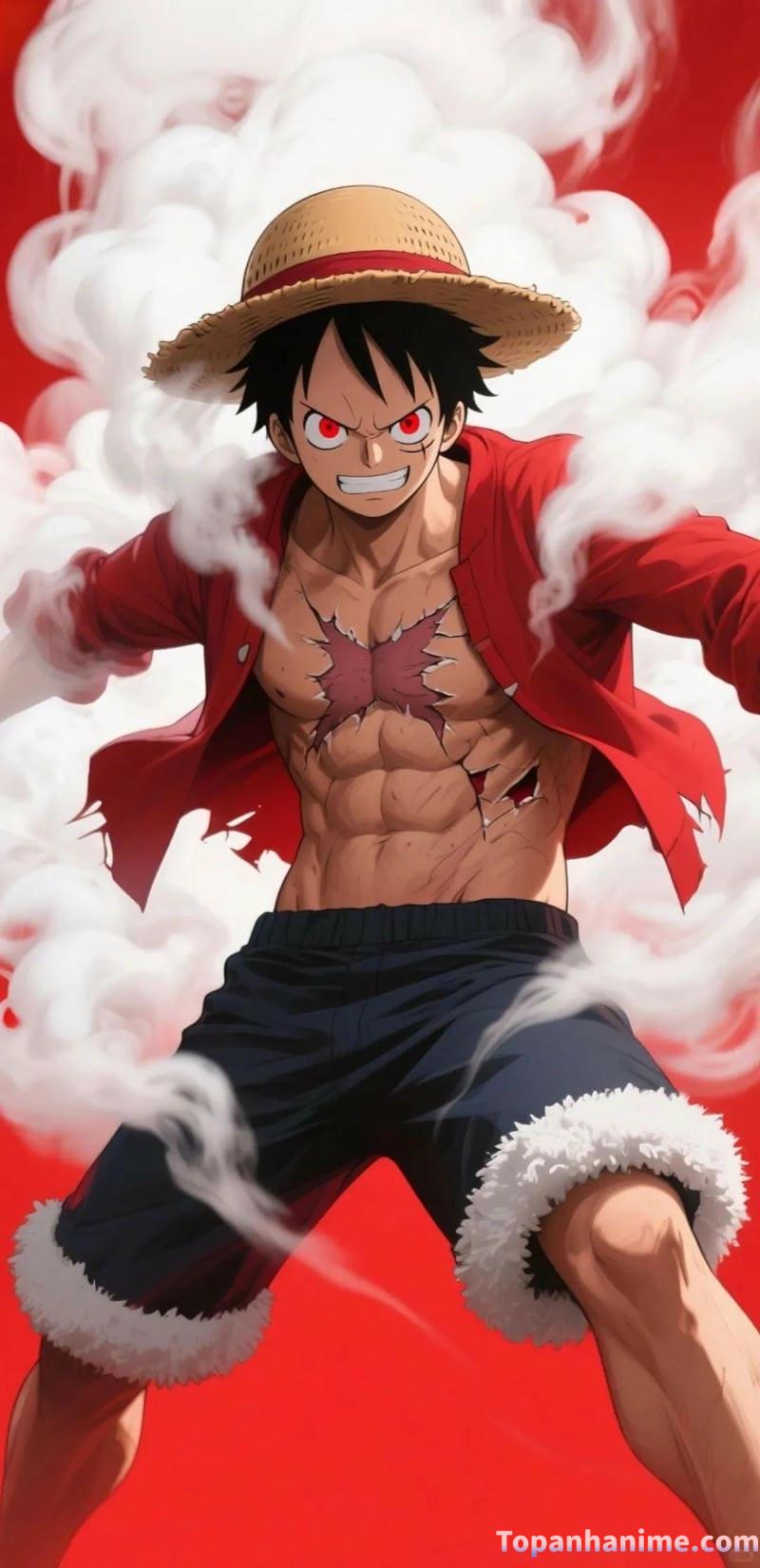 Mẫu ảnh Luffy 18