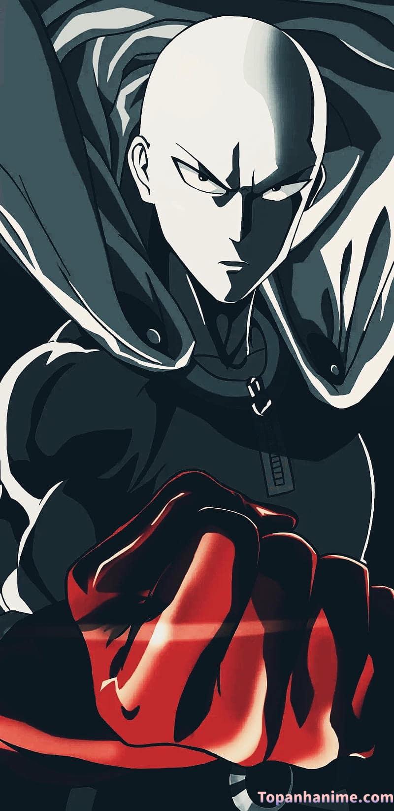 Mẫu ảnh Saitama 24