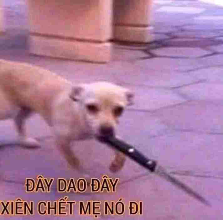 Meme Cắm Dao 9