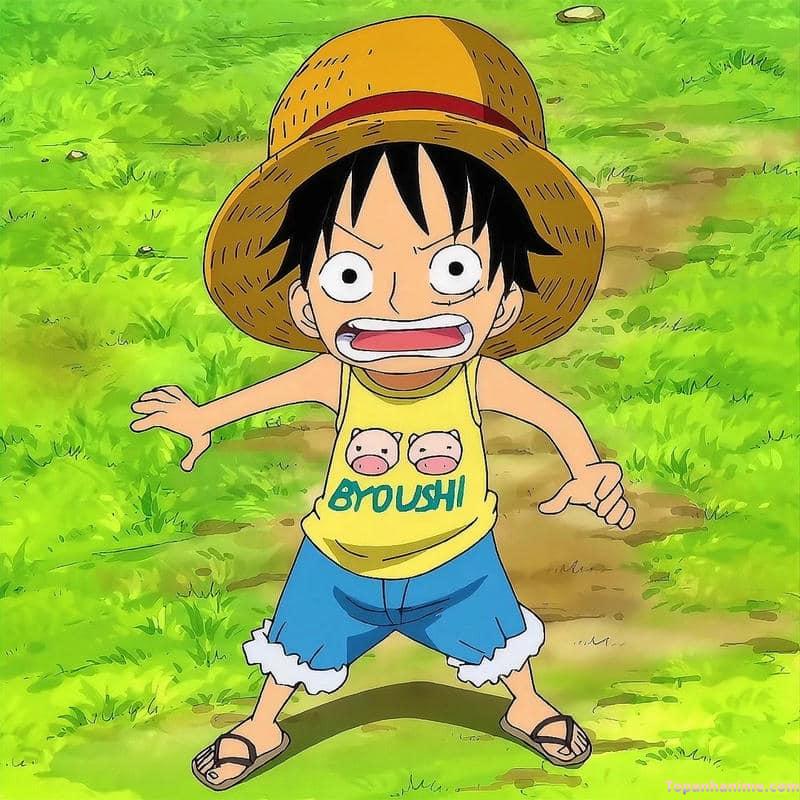 Mẫu ảnh Luffy 24