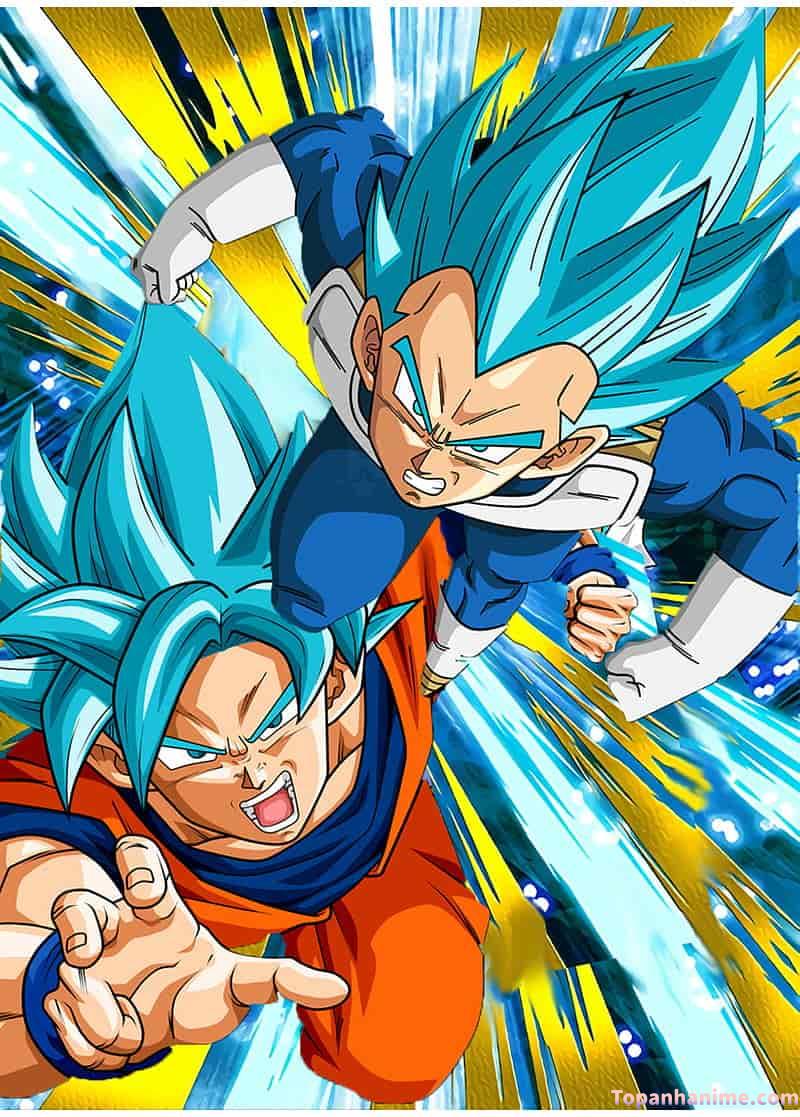 Mẫu Ảnh Vegeta 25
