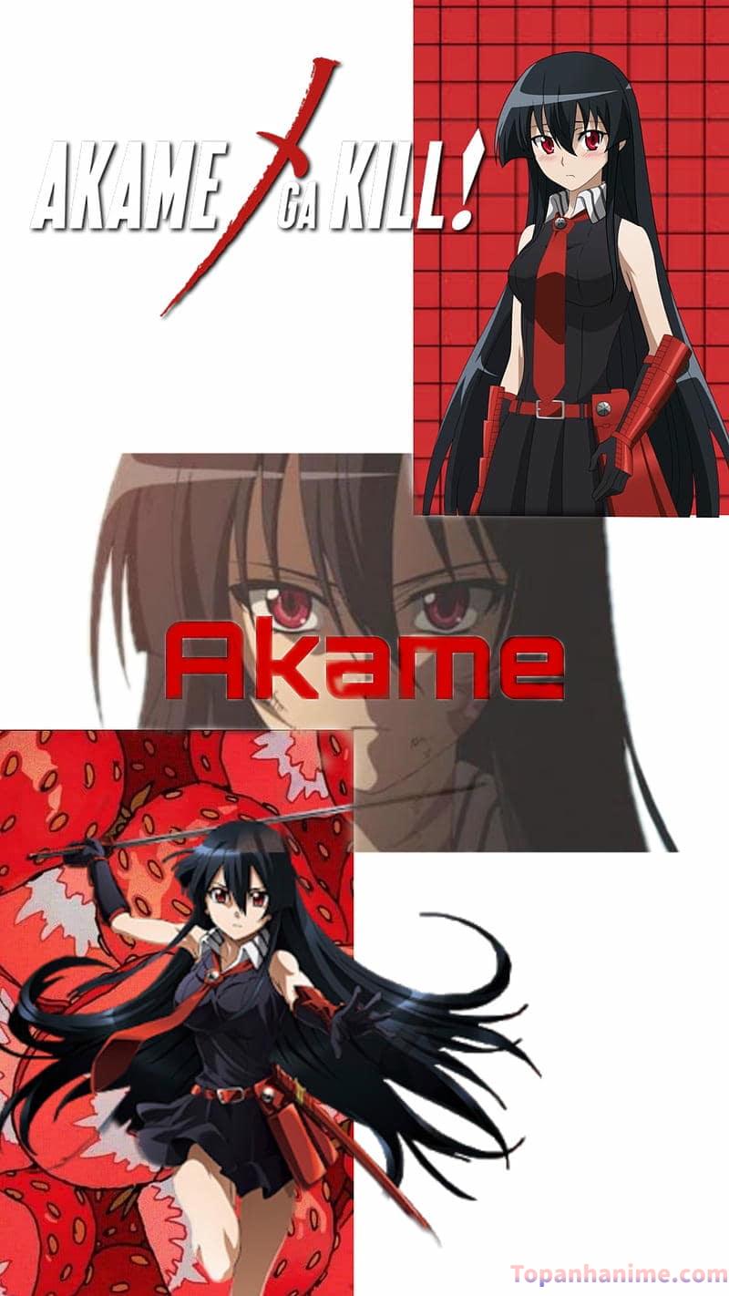 ảnh Akame Ga Kill 11
