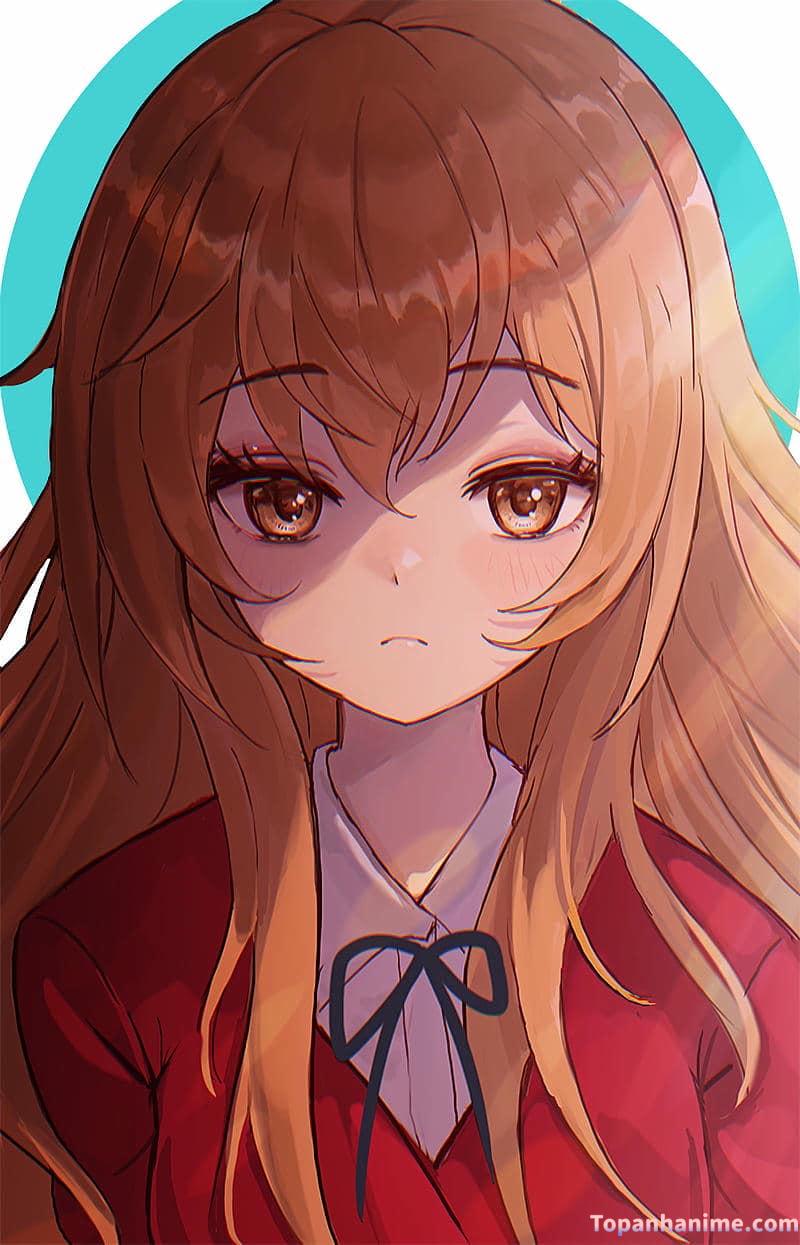 ảnh Taiga Aisaka 11