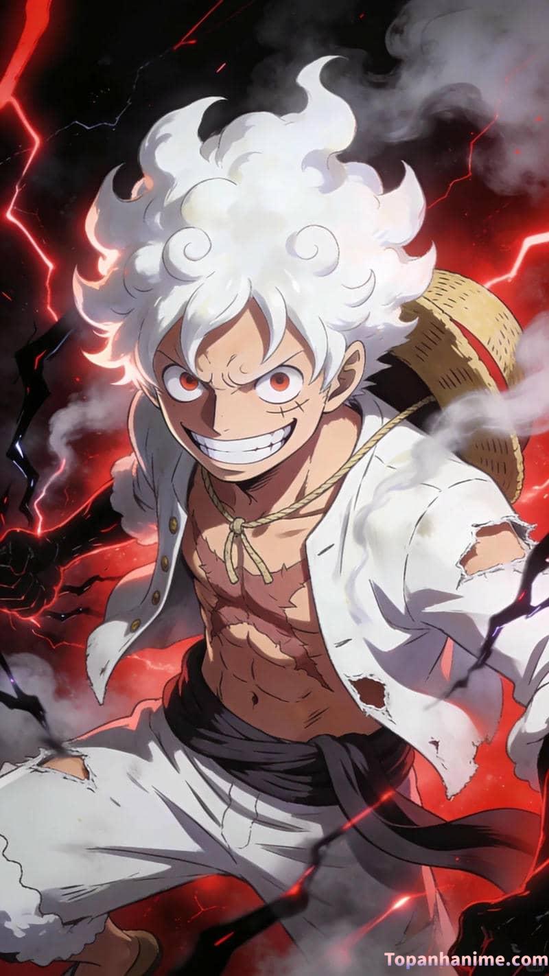 Mẫu ảnh Luffy 28