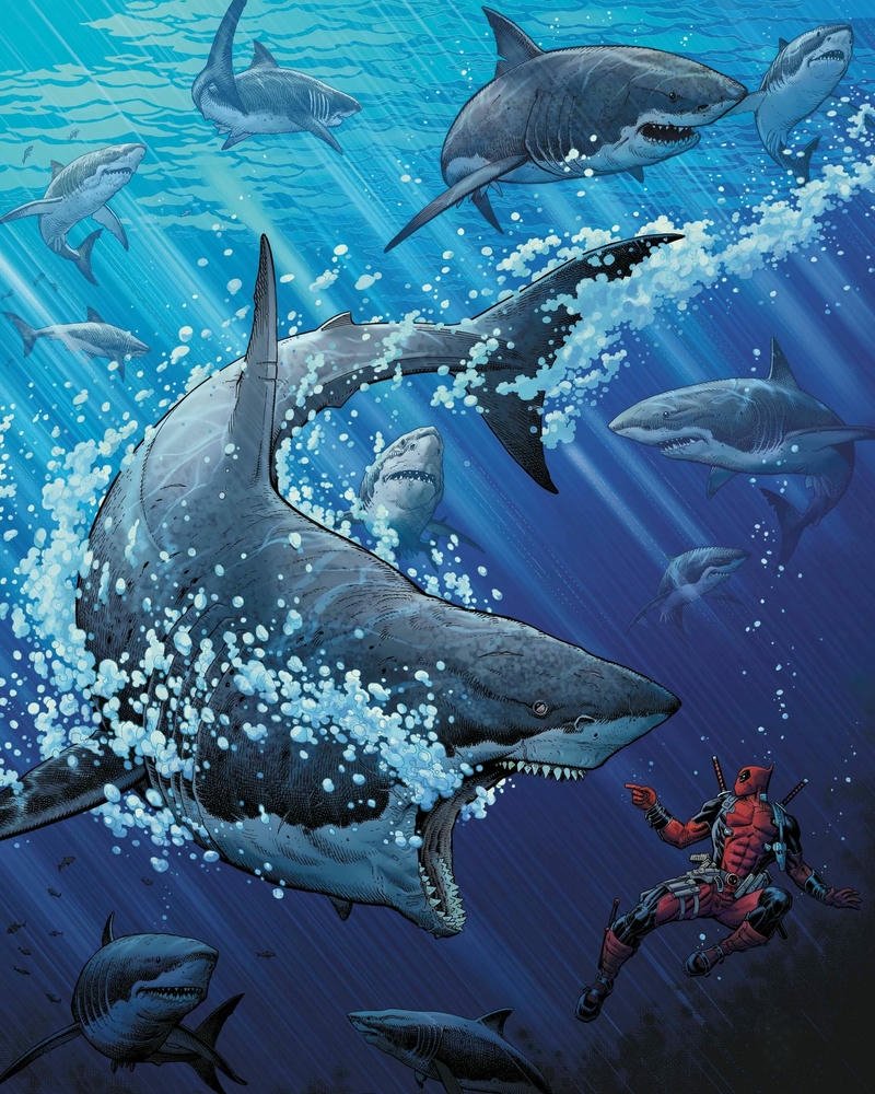 ảnh anime cá mập 15