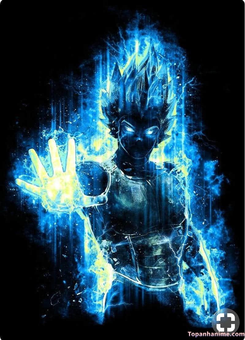 Mẫu Ảnh Vegeta 39