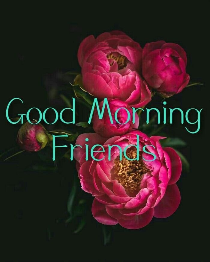 Friend Good Morning Images 20