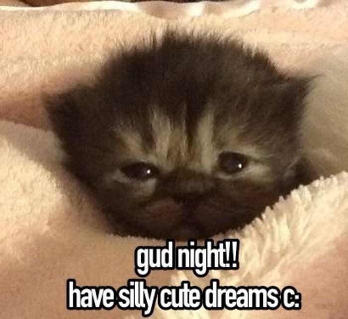 Funny Good Night Images 16