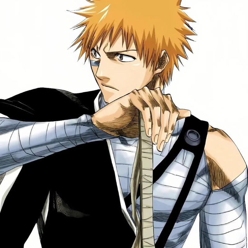 Ảnh Ichigo 5