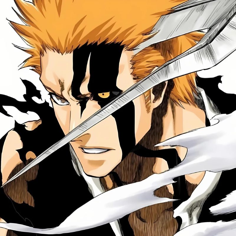 Ảnh Ichigo 6