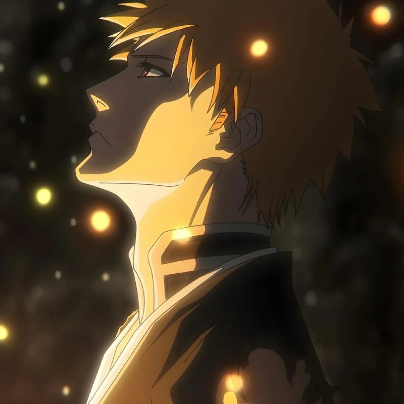 Ảnh Ichigo 9