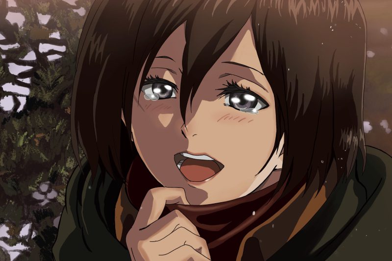 ảnh Mikasa ngầu 12