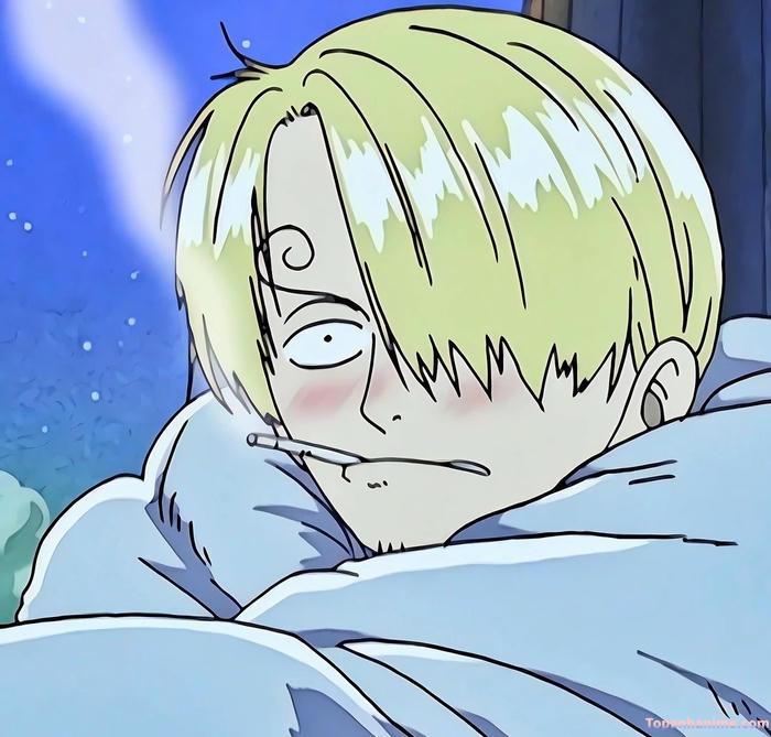 Mẫu ảnh Vinsmoke Sanji 36
