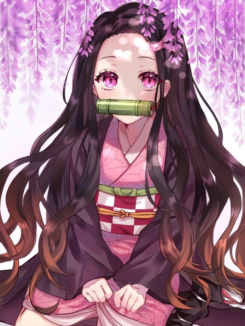 ảnh Nezuko 2