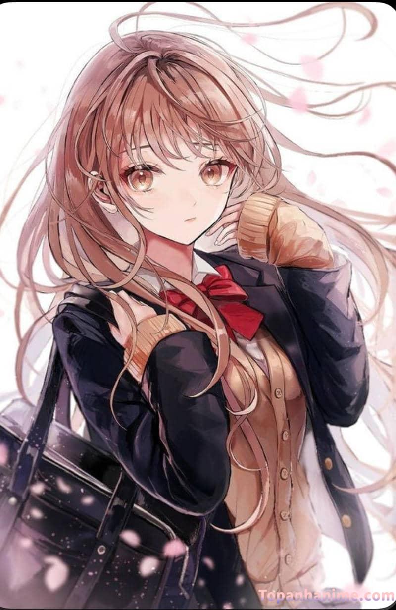 ảnh anime học đường 4