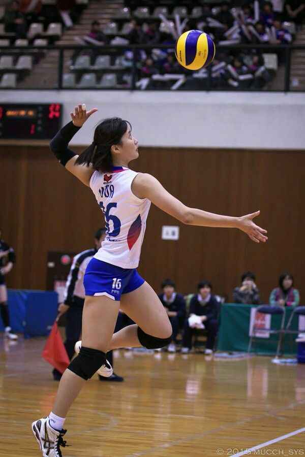 Ảnh bóng chuyền 16