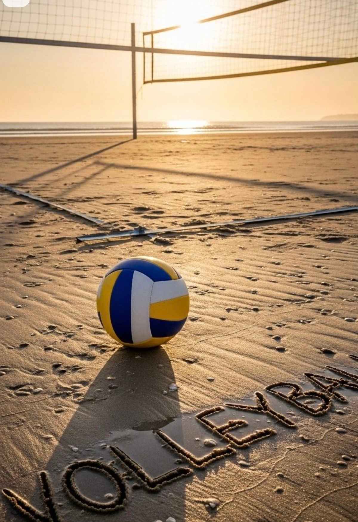 Ảnh bóng chuyền 6