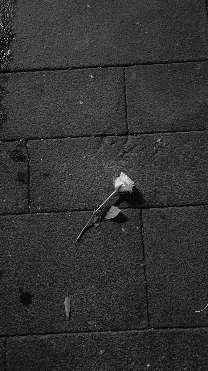 Ảnh Buồn Tâm Trạng 4