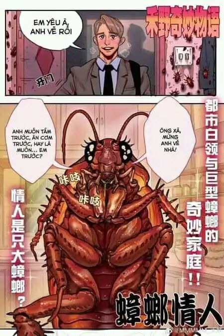 Ảnh chế hài hước 11