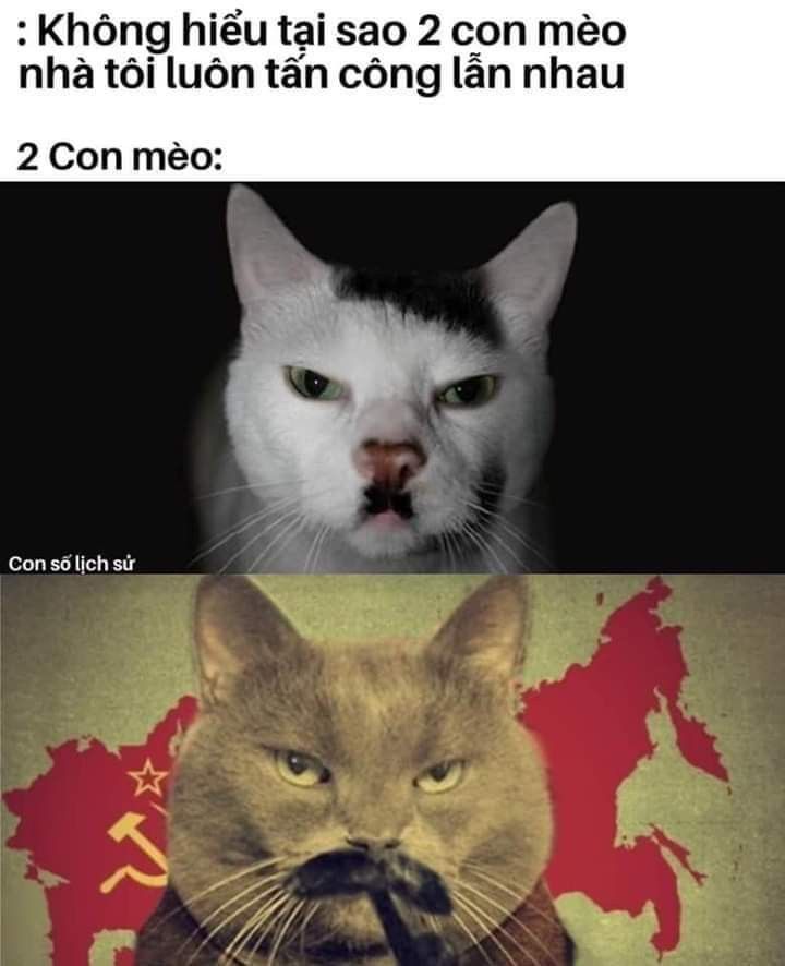 Ảnh chế hài hước 15