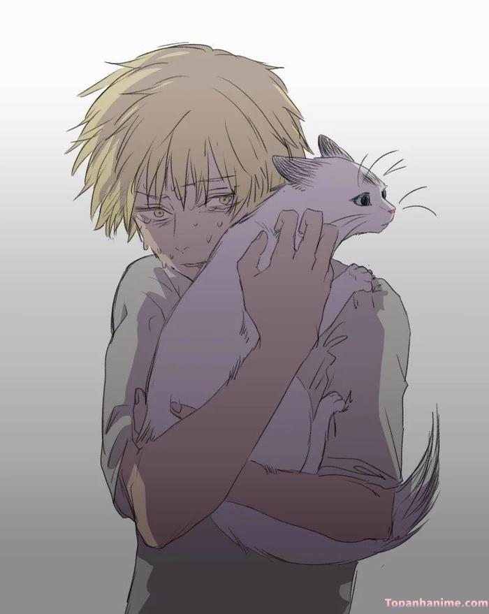 Mẫu ảnh Denji 16