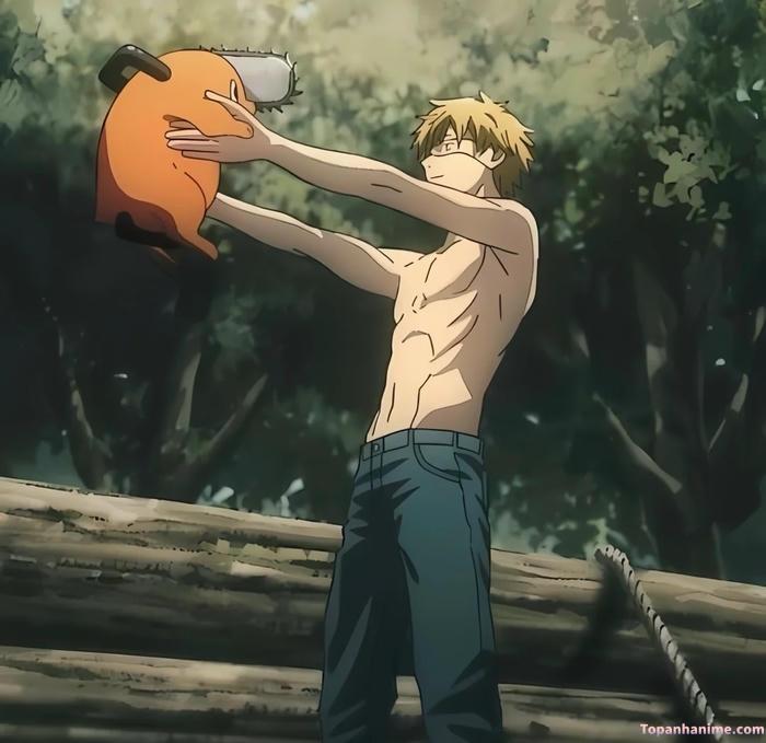 Mẫu ảnh Denji 17