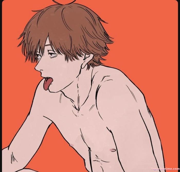 Mẫu ảnh Denji 18