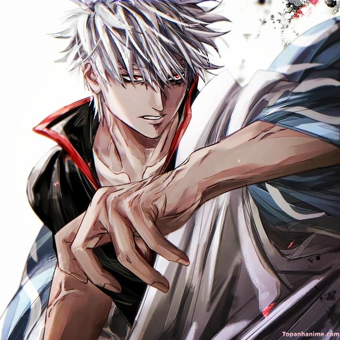 Mẫu ảnh Gintoki Sakata 14
