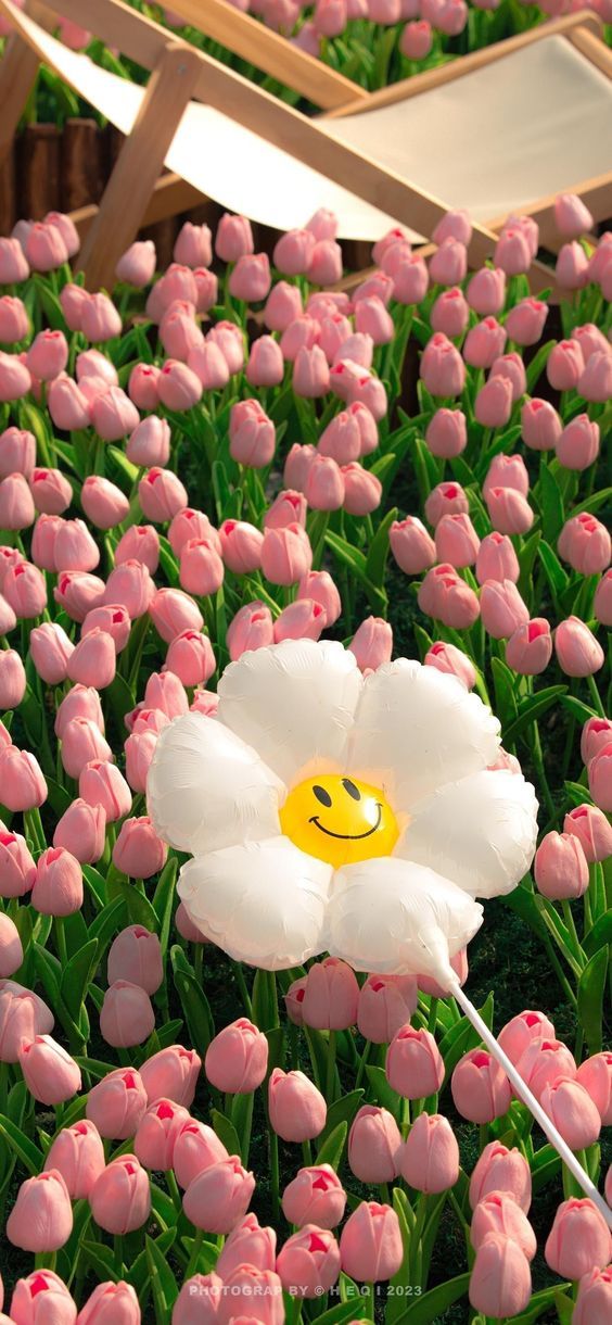 Ảnh Hình Nền Điện Thoại Đẹp 4