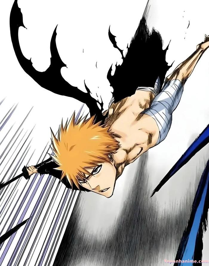 Mẫu ảnh Ichigo Kurosaki 31