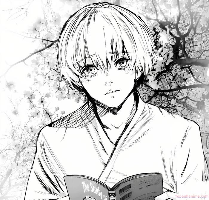 Mẫu ảnh Kaneki Ken 12